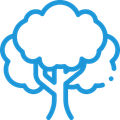 A blue line drawing of a tree with a cloud in the background.