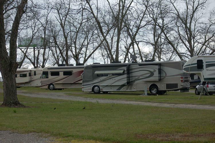 A row of recreational vehicles are parked in a grassy area.