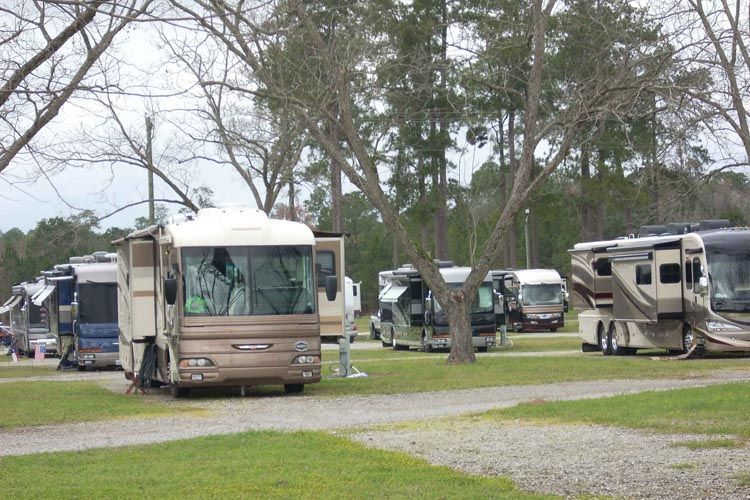 A row of recreational vehicles are parked in a grassy area.