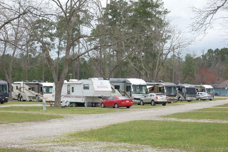 A row of rvs are parked in a grassy area