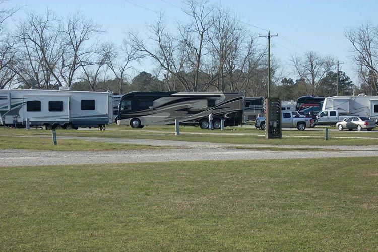 A row of rv 's are parked in a grassy field.