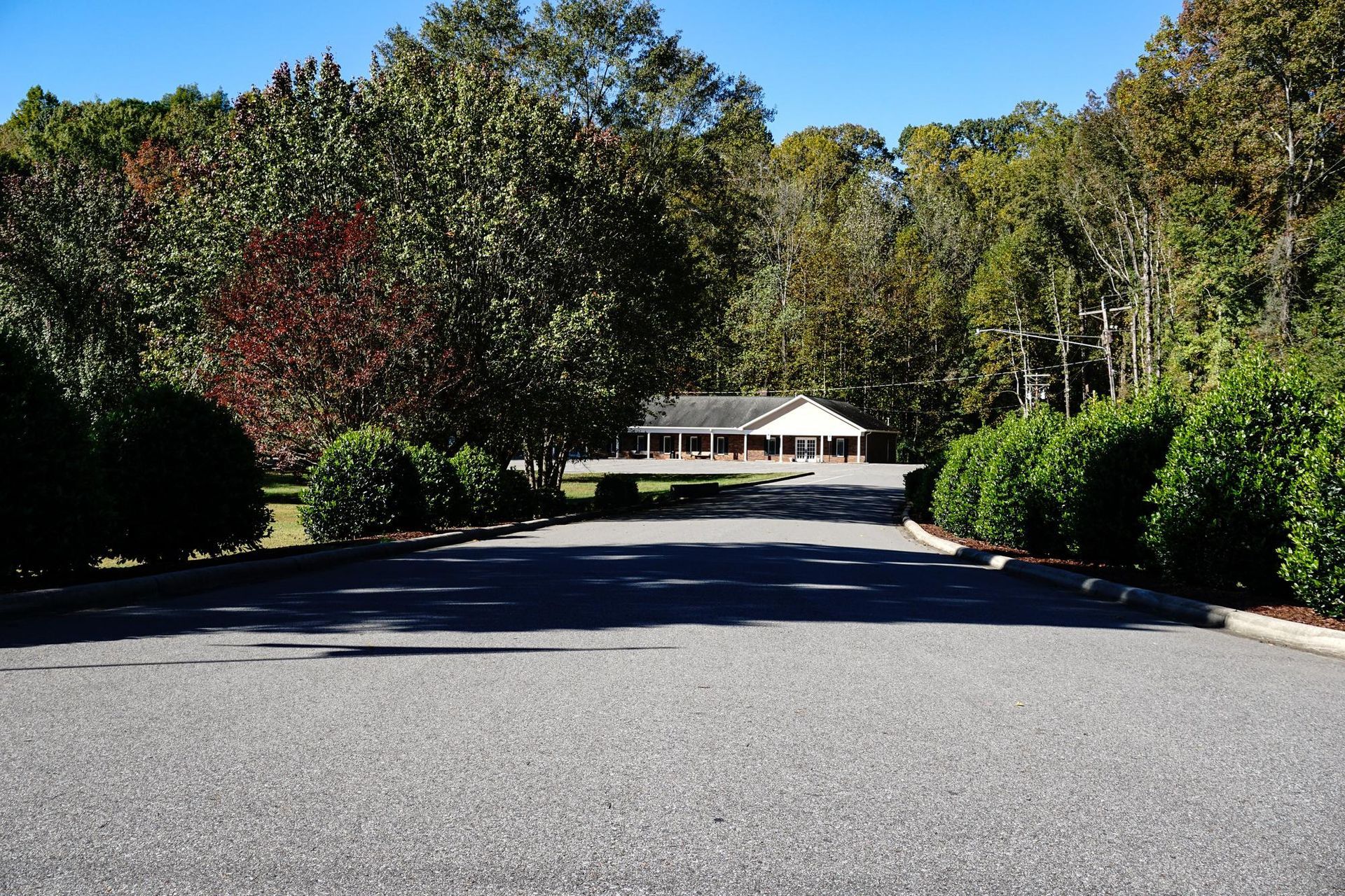 A fountain in a park with palm trees in the background
