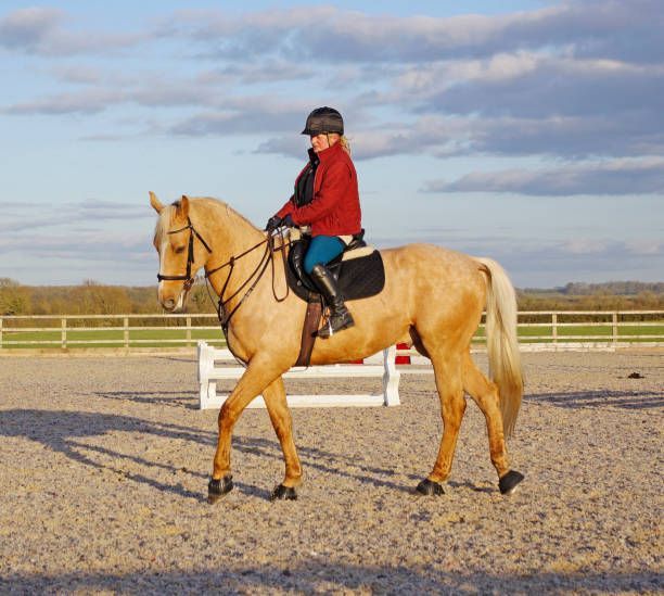 A woman on a palomino horse rides in an outdoor arena. The sky is partly cloudy.