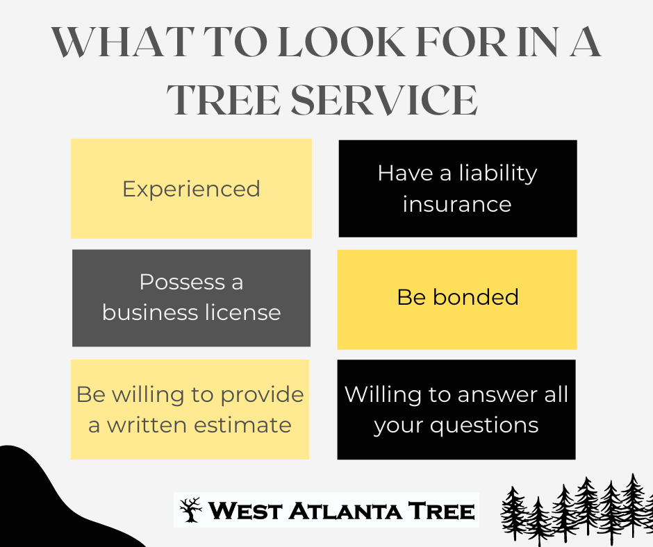 Tree Service | What to look for | West Atlanta Tree