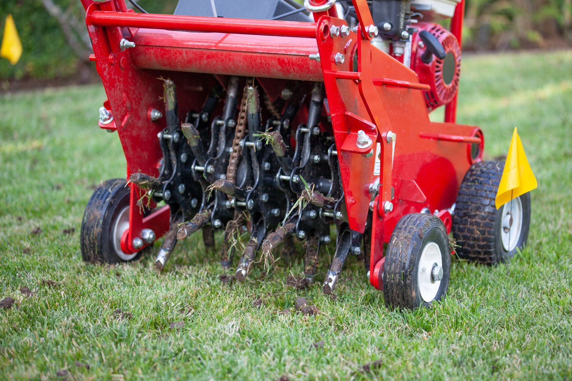 A red lawn aerator with steel tines digs into a green grass lawn, leaving small holes behind.