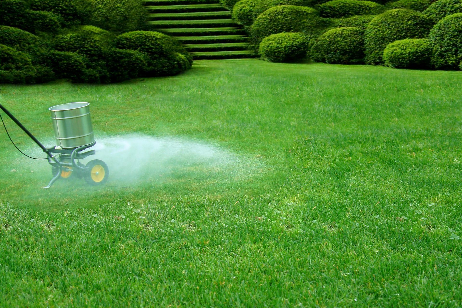 A lawn spreader spraying fertilizer or seeds across a vibrant green lawn with tiered hedges in the background.