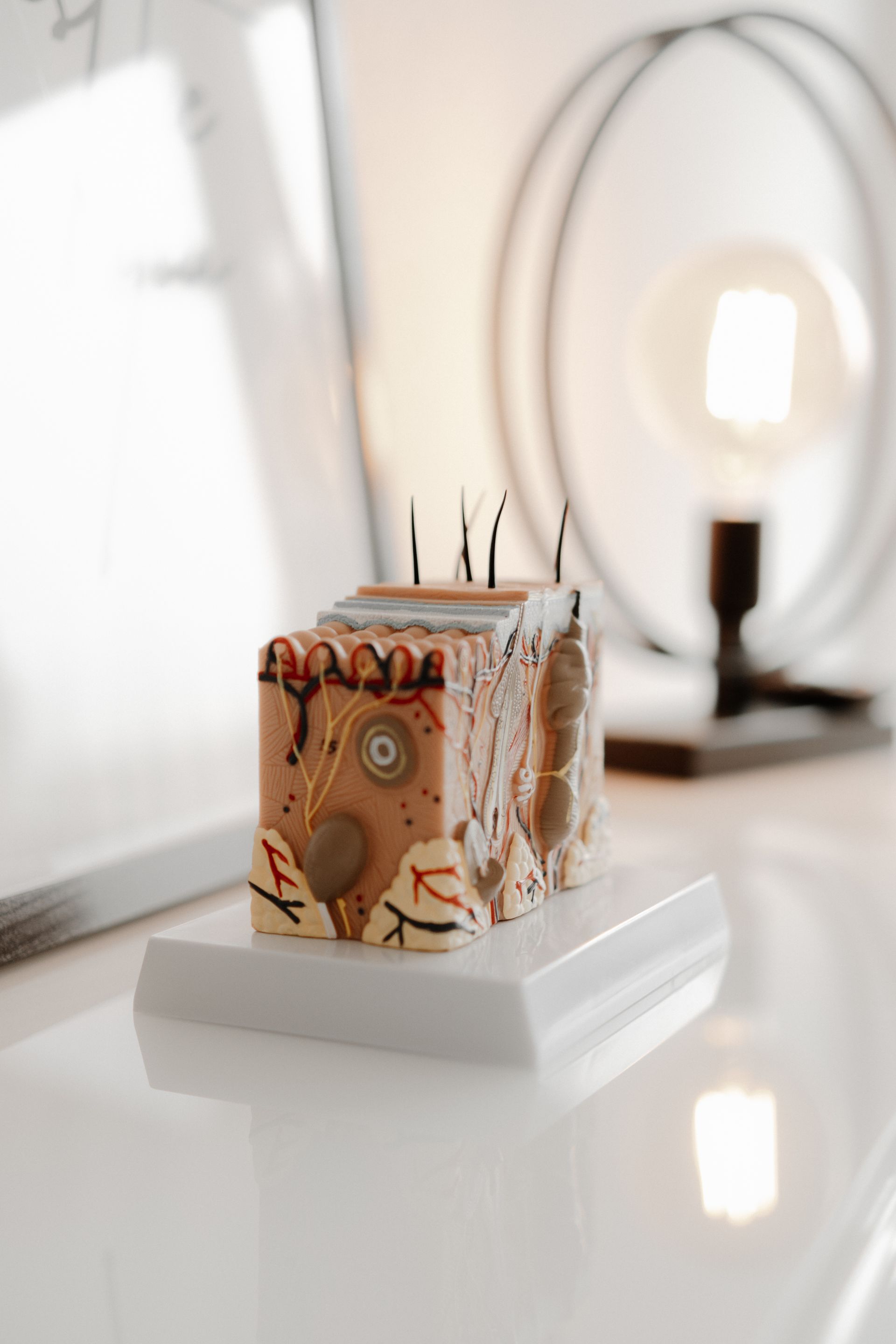 In der Kosmetikbranche verändert sich vieles – und zwar ständig.
Neue Wirkstoffe, innovative Geräte,