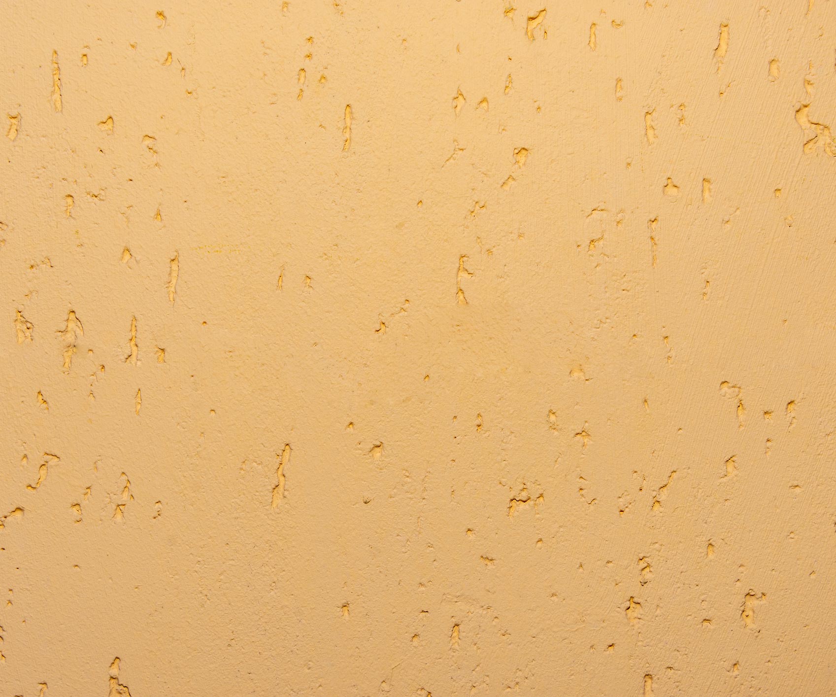 Cat Face Texture — Forest Park, IL — Forest Park Stucco