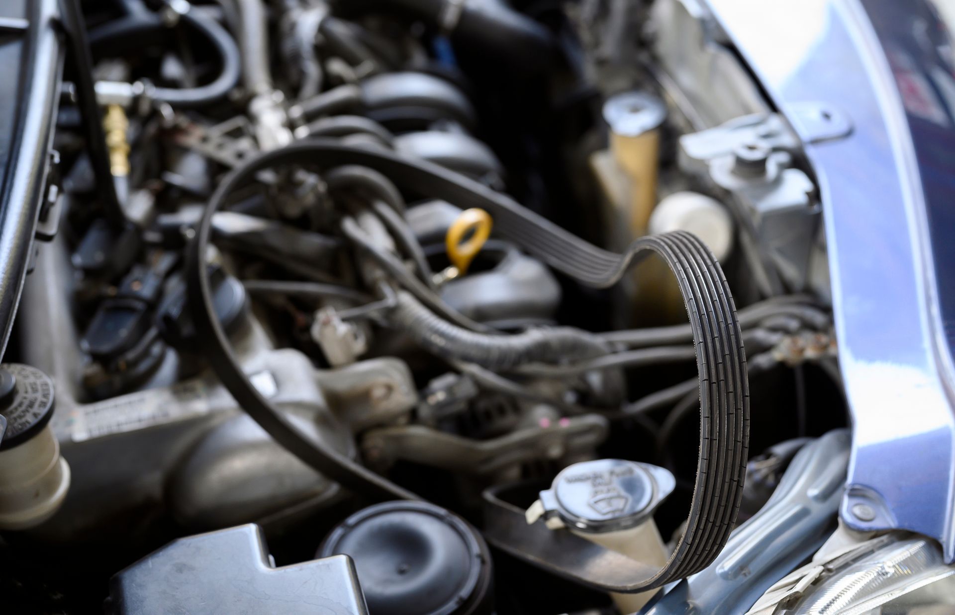A worn-out serpentine belt from a car