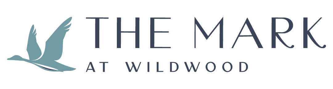 A logo for montana with a mountain in the background.