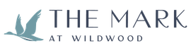 A logo for montana with a mountain in the background.