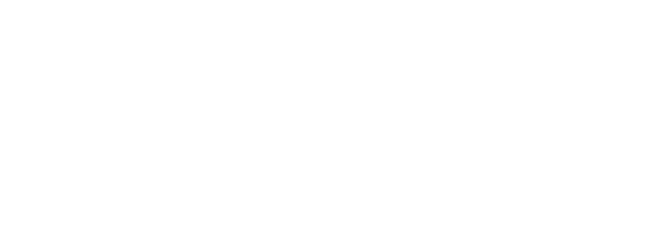 Hanzoncare Logo