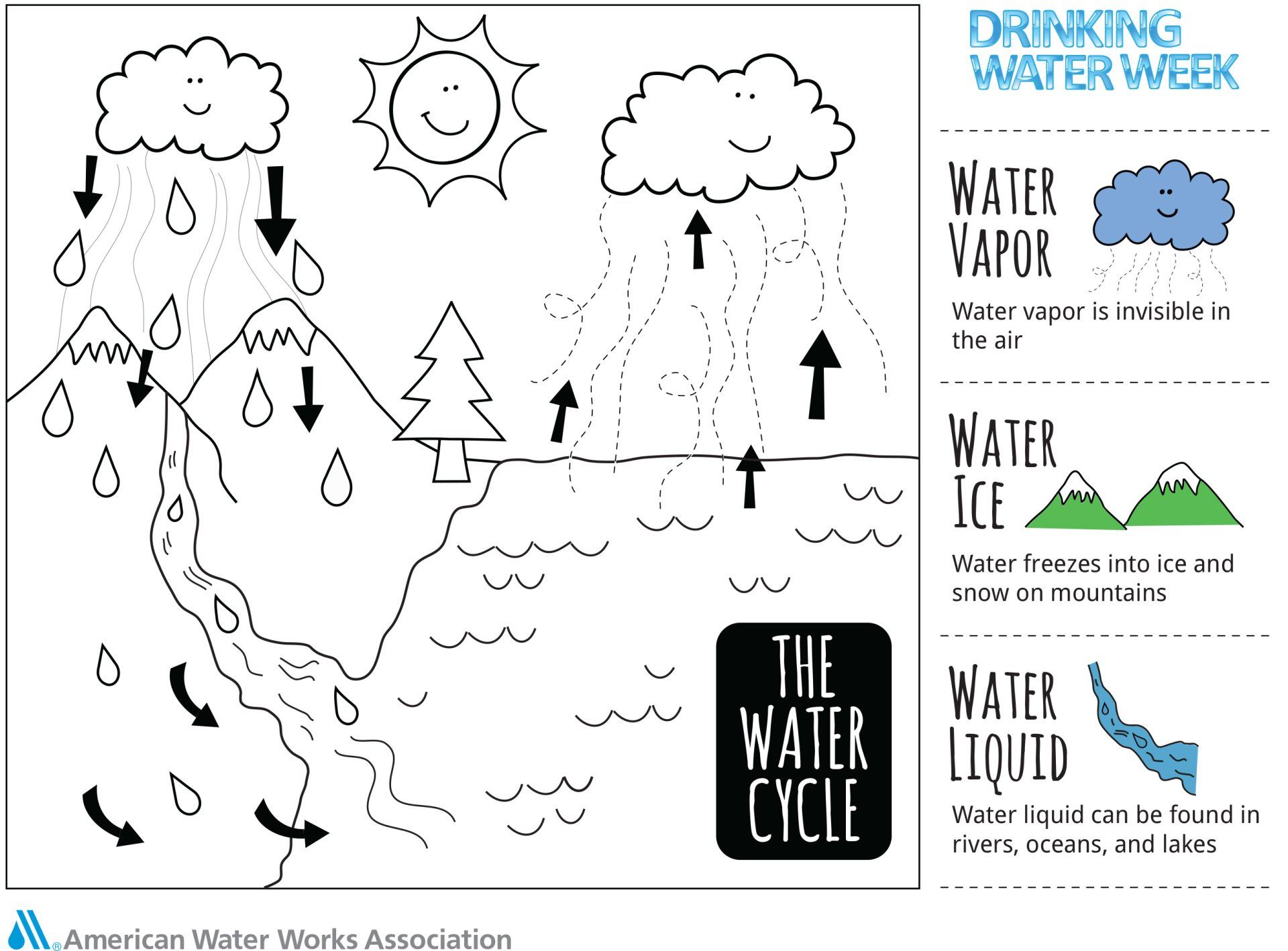The Water Cycle, Gibby The Fish, Kid's Corner | Gibson's WaterCare