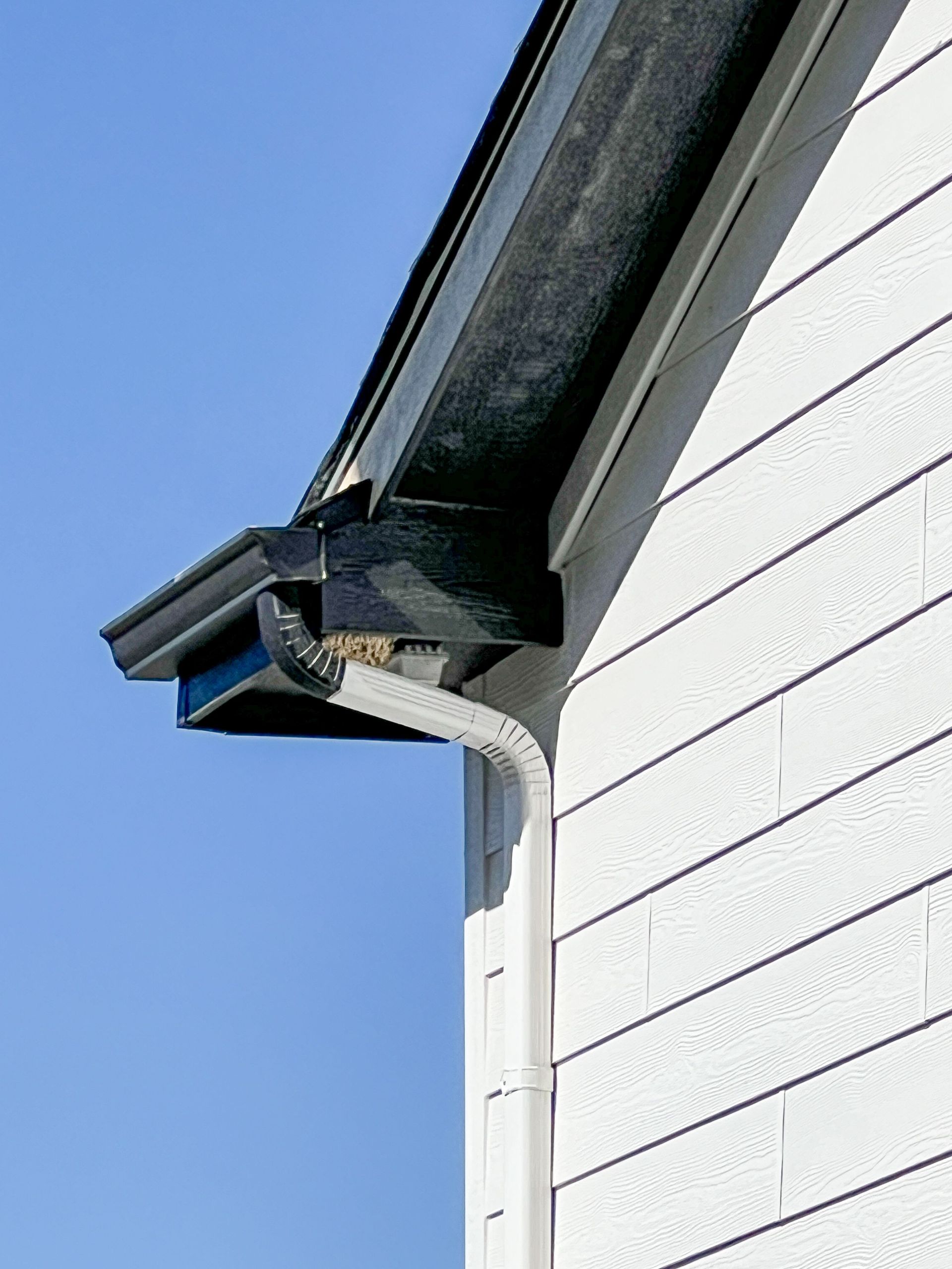 cave-sparrow-nest-suburban-house-roof-eaves-1920w.jpg