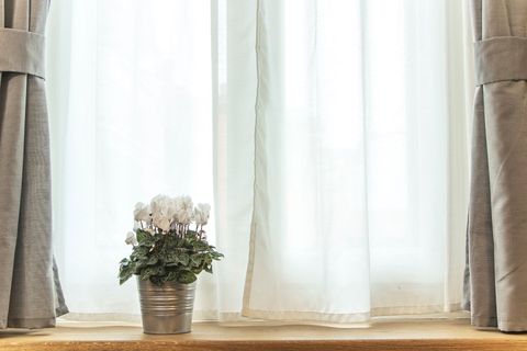 Window Curtain — Bundaberg, Qld — Andersons Curtains & Blinds