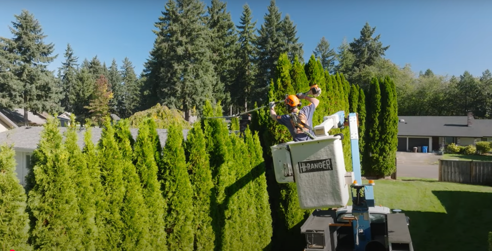 Arborist pruning tree with machine