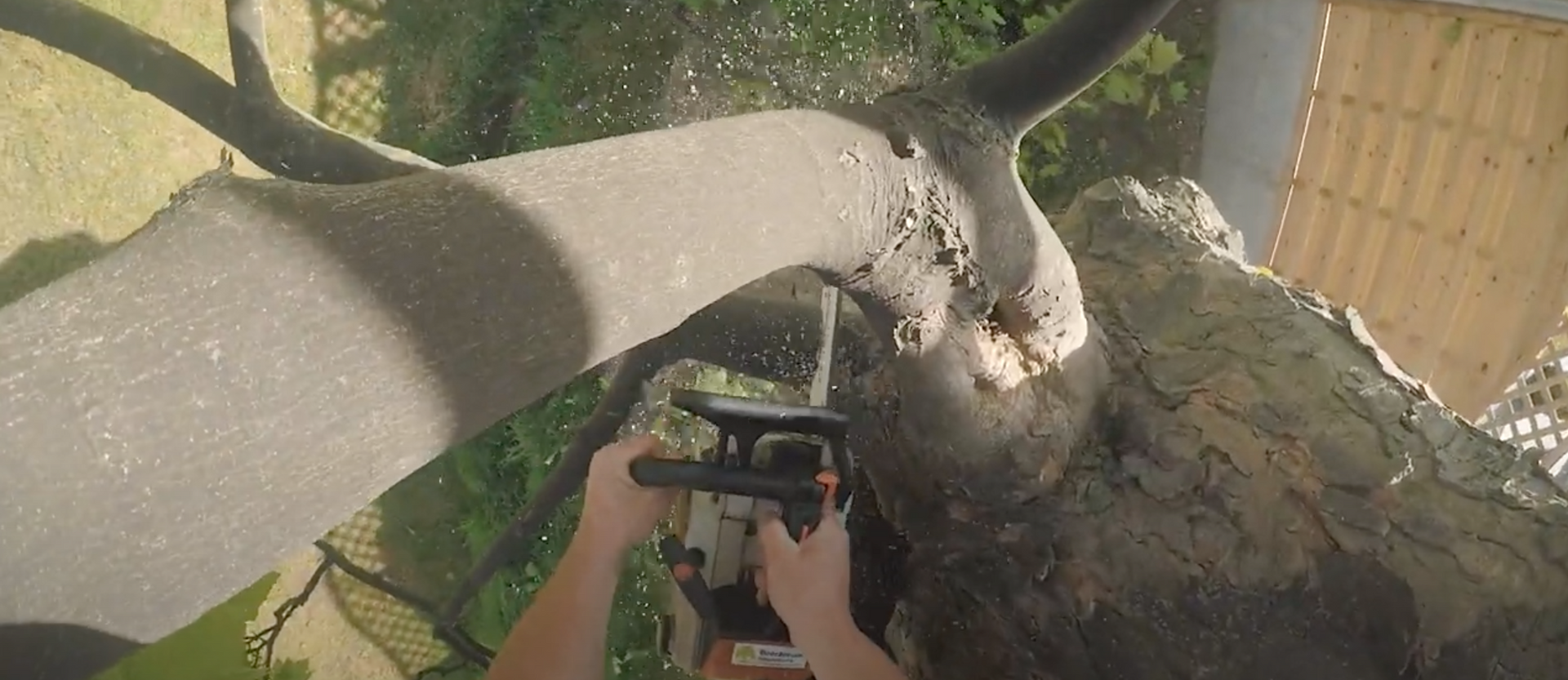 Tree branch being removed by chainsaw