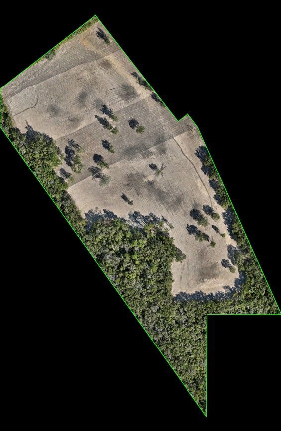 Photogrammetry ortho image trimmed to the property's accurate boundary survey in Jacksonville, Florida.