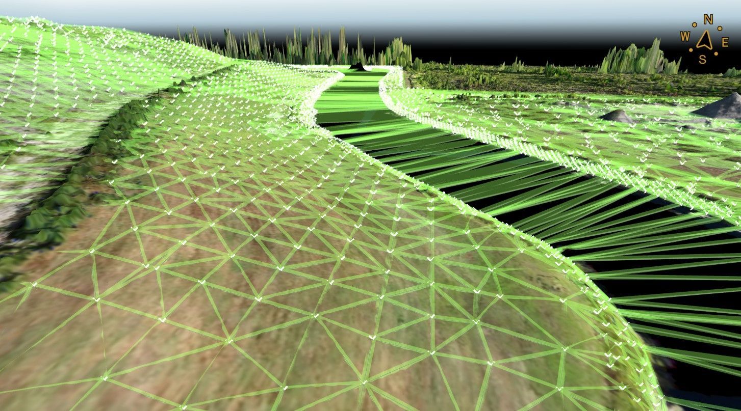 TIN Surface for contour generation on a topographic survey in Jacksonville, Florida.