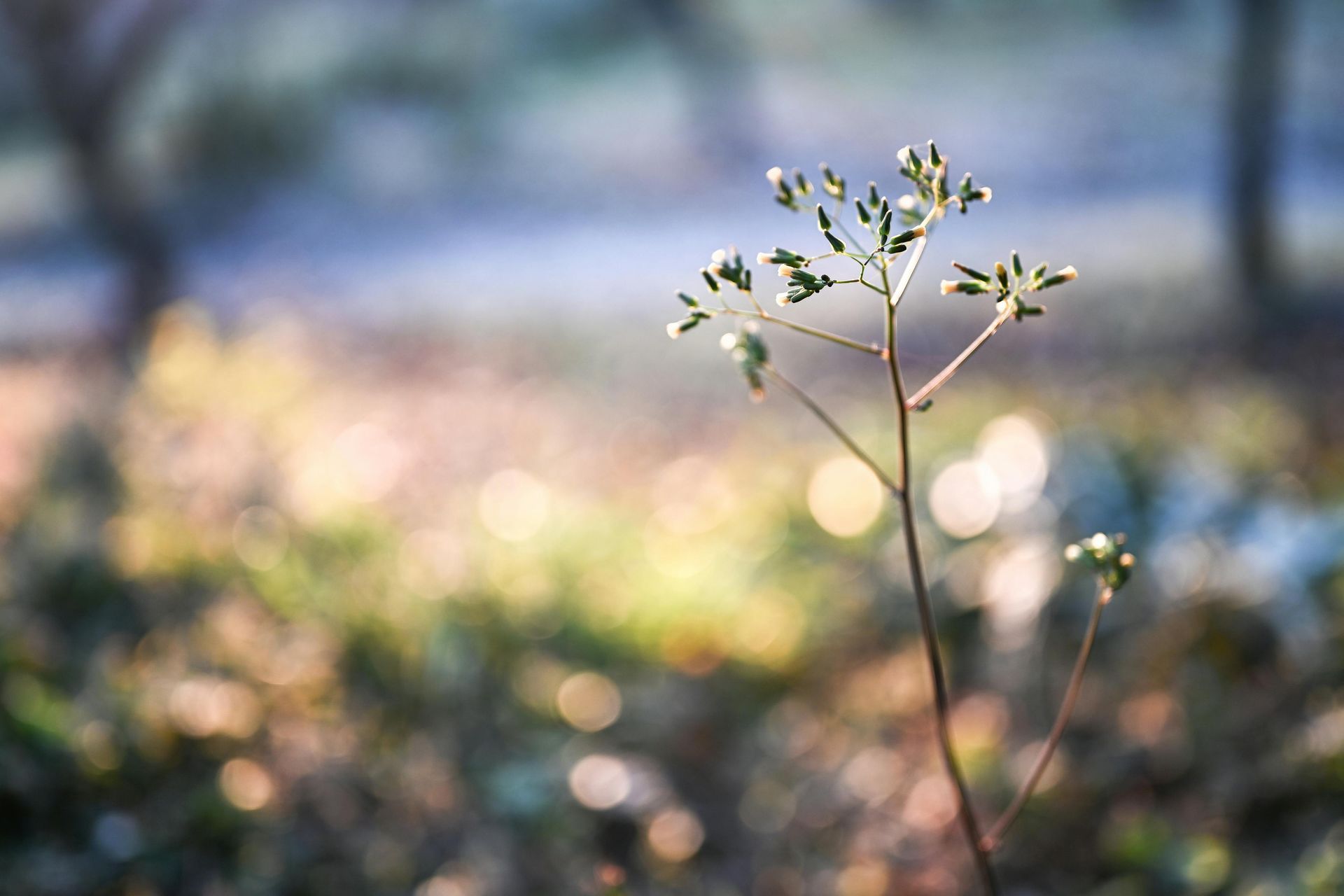 A group of people are standing around a coffin at a funeral.