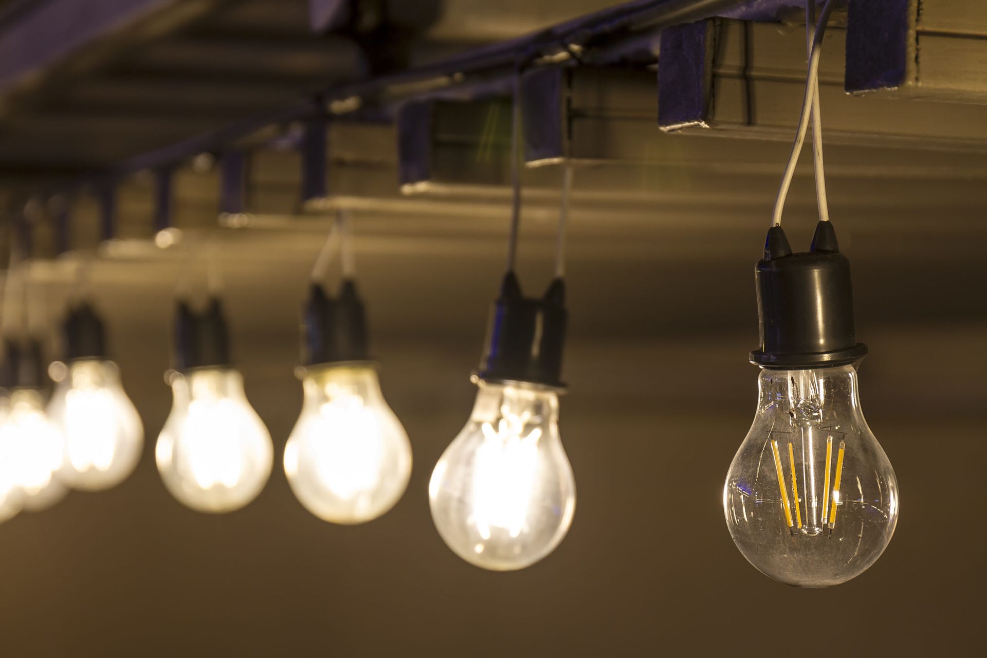 A string of light bulbs hanging from the ceiling.