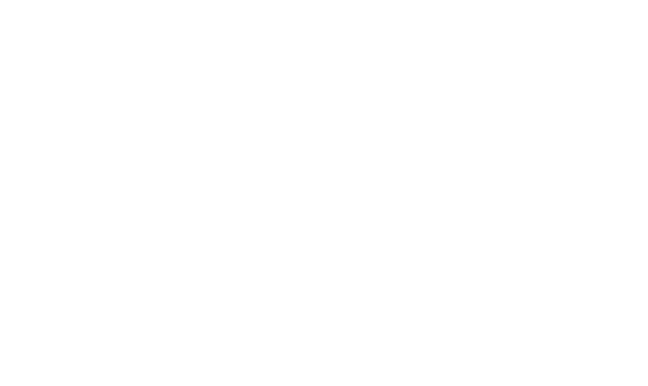 Professional Construction Services logo