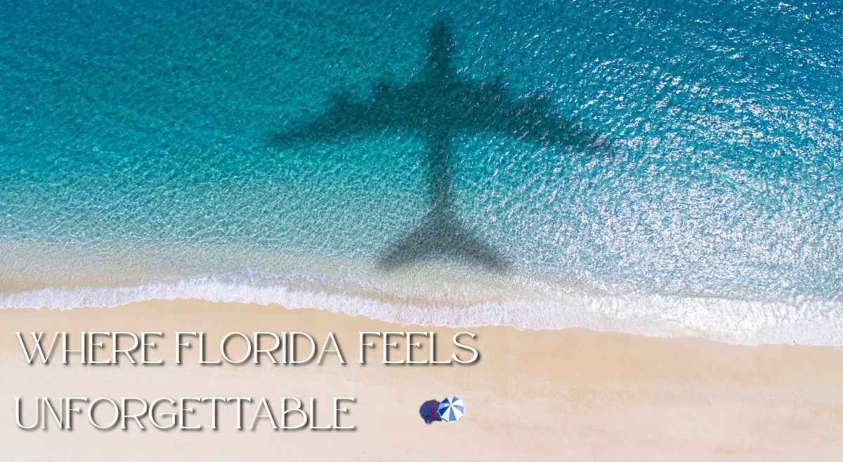 The shadow of a plane flying over a beach.