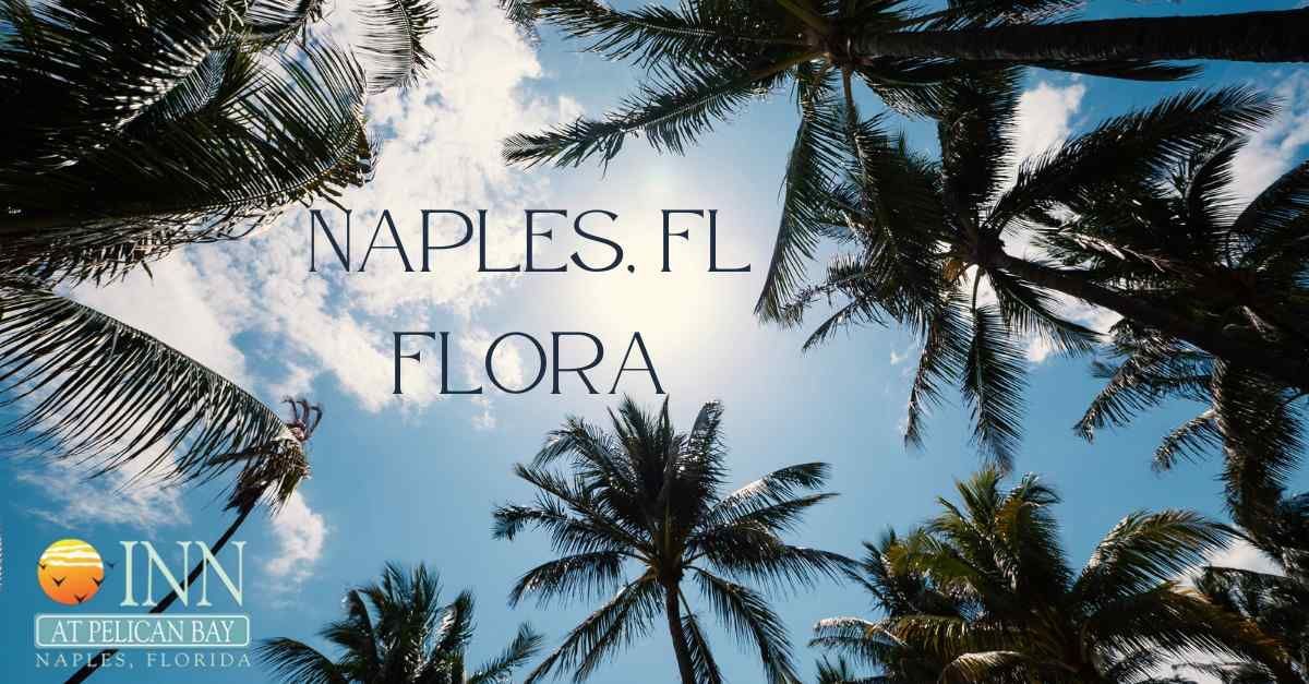 Topical flora Naples