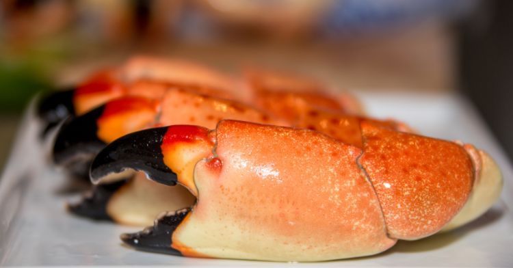 Stone crab claws are enjoyed during stone crab season in Naples, Florida. 