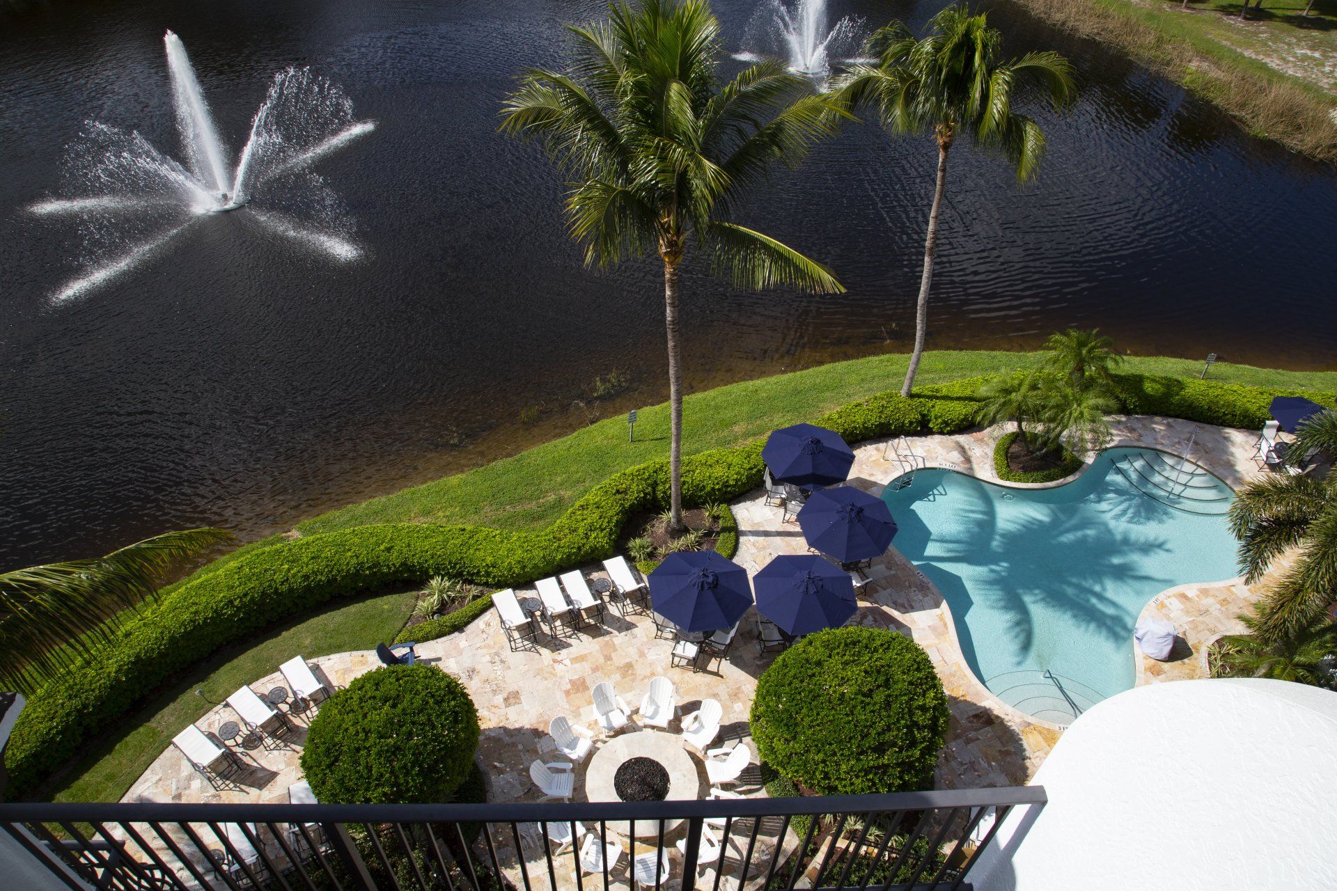 An aerial view of a swimming pool with palm trees and umbrellas