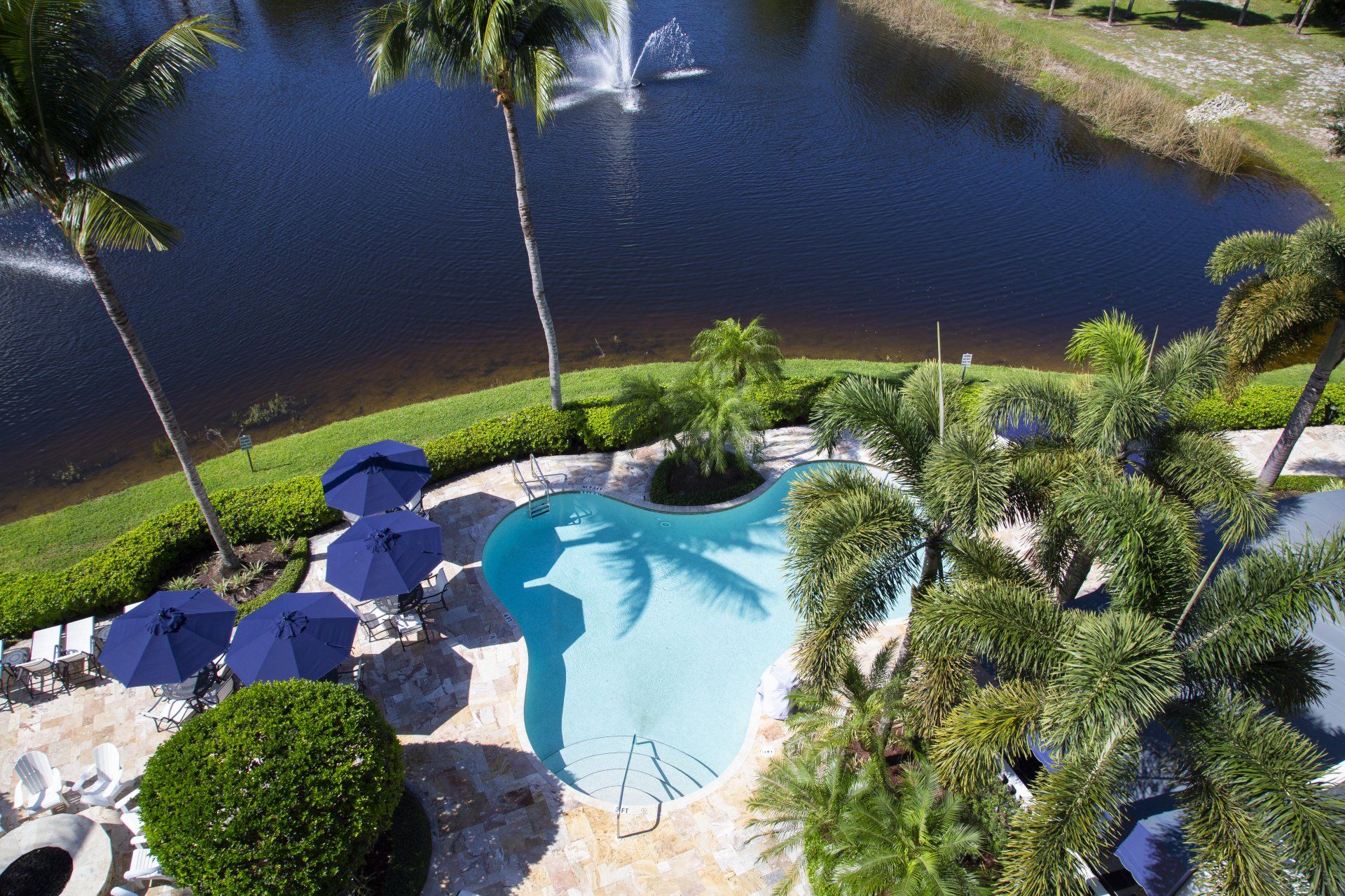An aerial view of a swimming pool surrounded by palm trees and umbrellas