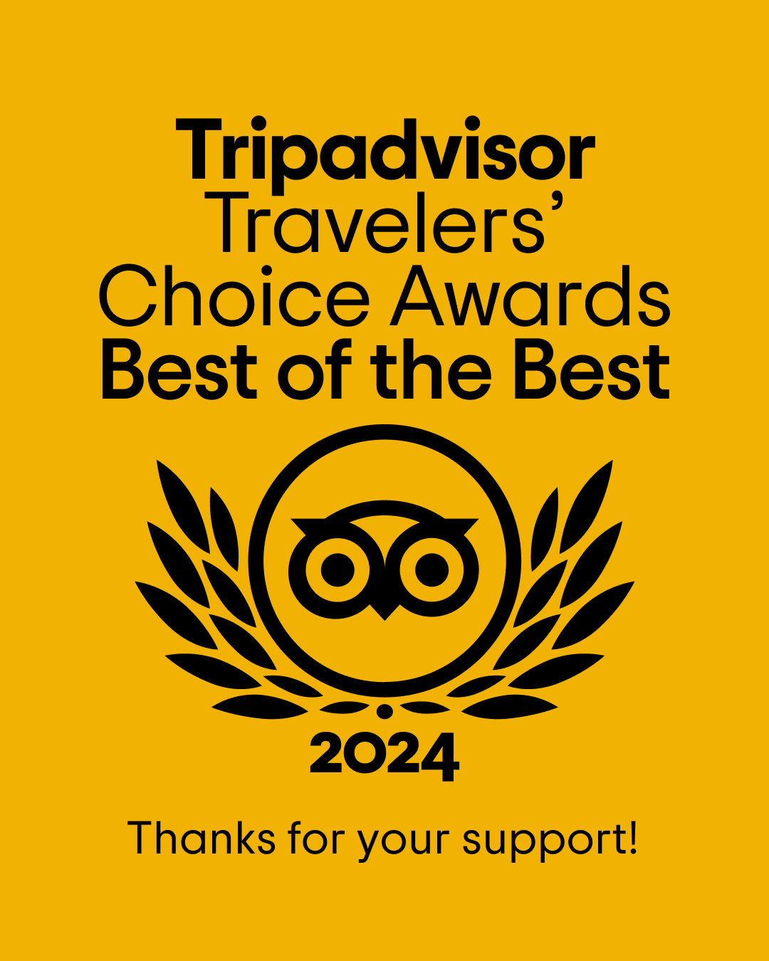 Travelers choice is a travelers choice award for 2023.