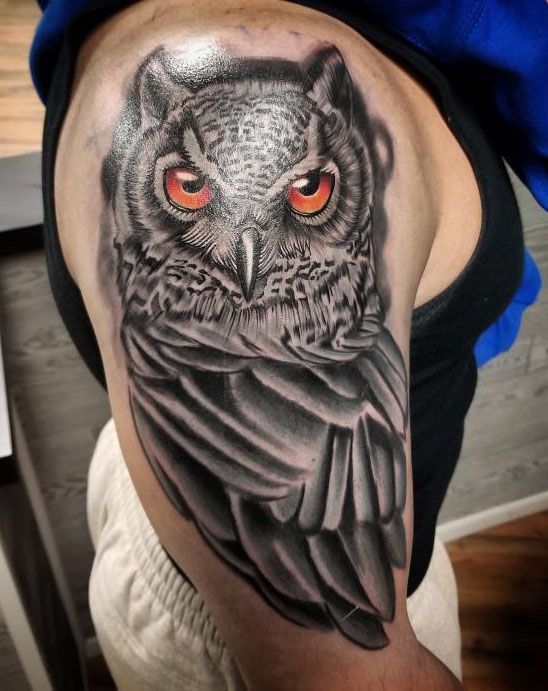 Owl Tattoo — New York, NY — Custom Tattoo