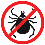 vector illustration of tick