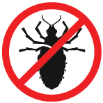 vector illustration of bedbug