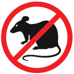 vector illustration of rodent