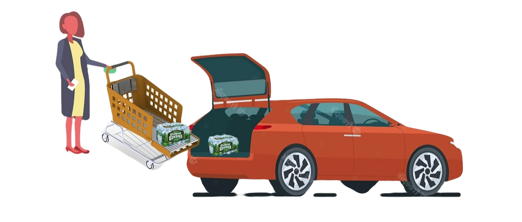 Shopping Carts | Tampa, FL | United Shopping Concepts