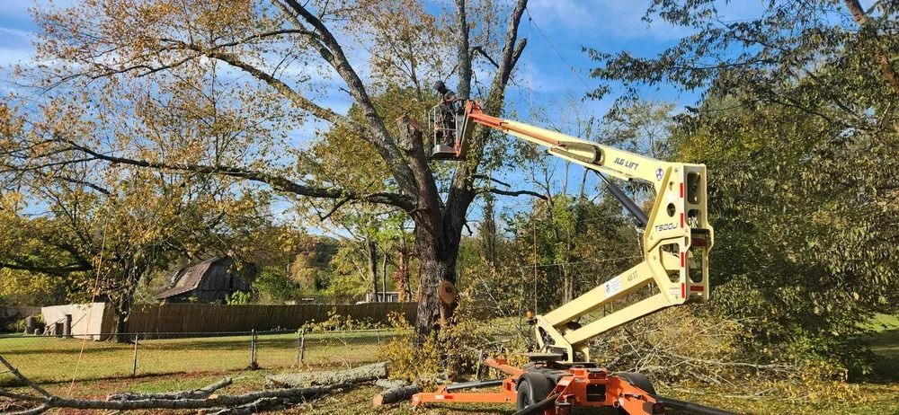A man is cutting a tree with a crane in a yard.