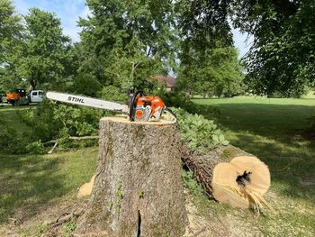 A chainsaw is sitting on top of a tree stump.