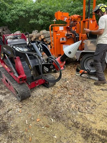 A man is standing next to a machine that is cutting a tree stump.