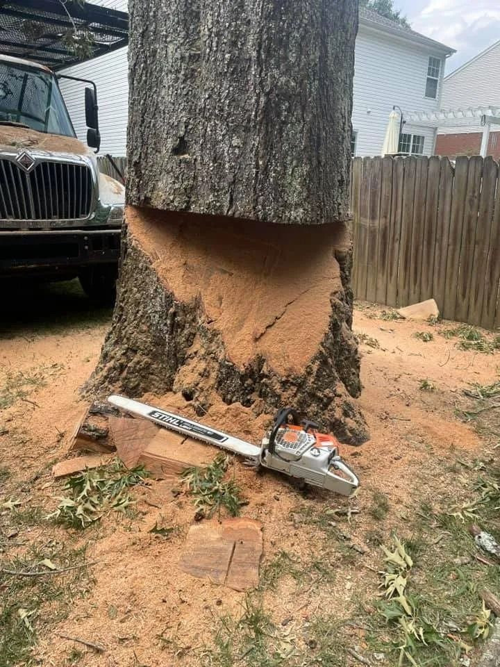 A chainsaw is sitting next to a tree that has been cut in half.