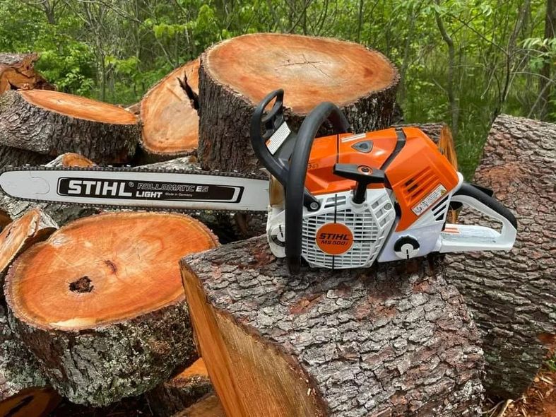 A chainsaw is sitting on top of a pile of logs.