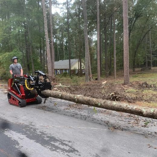A man is driving a tractor down a road carrying a large log