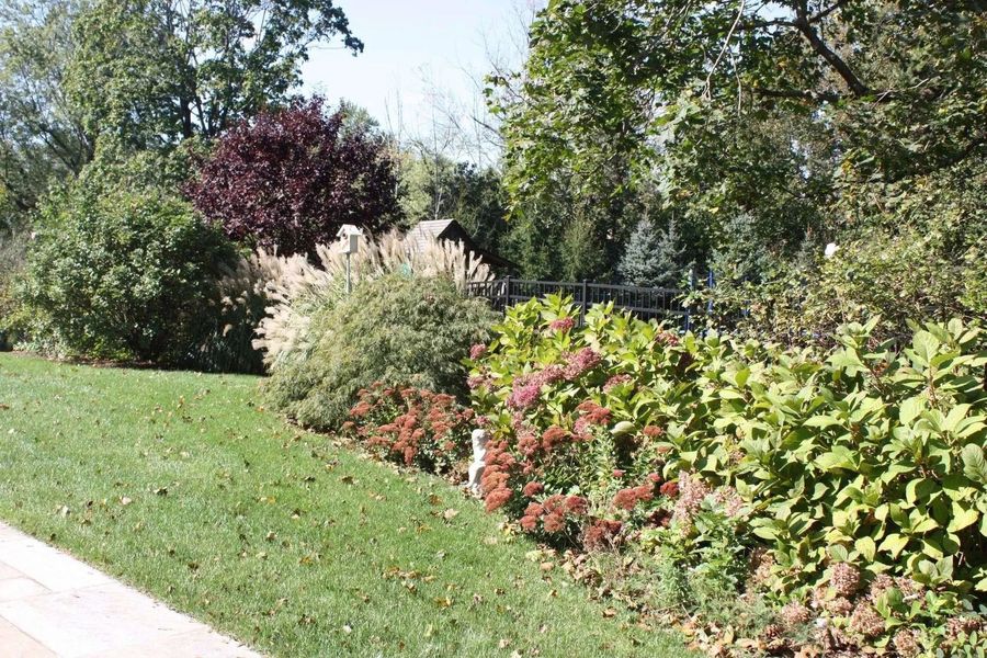 Sunny garden with a grassy lawn, colorful shrubs, and tall trees beside a sidewalk