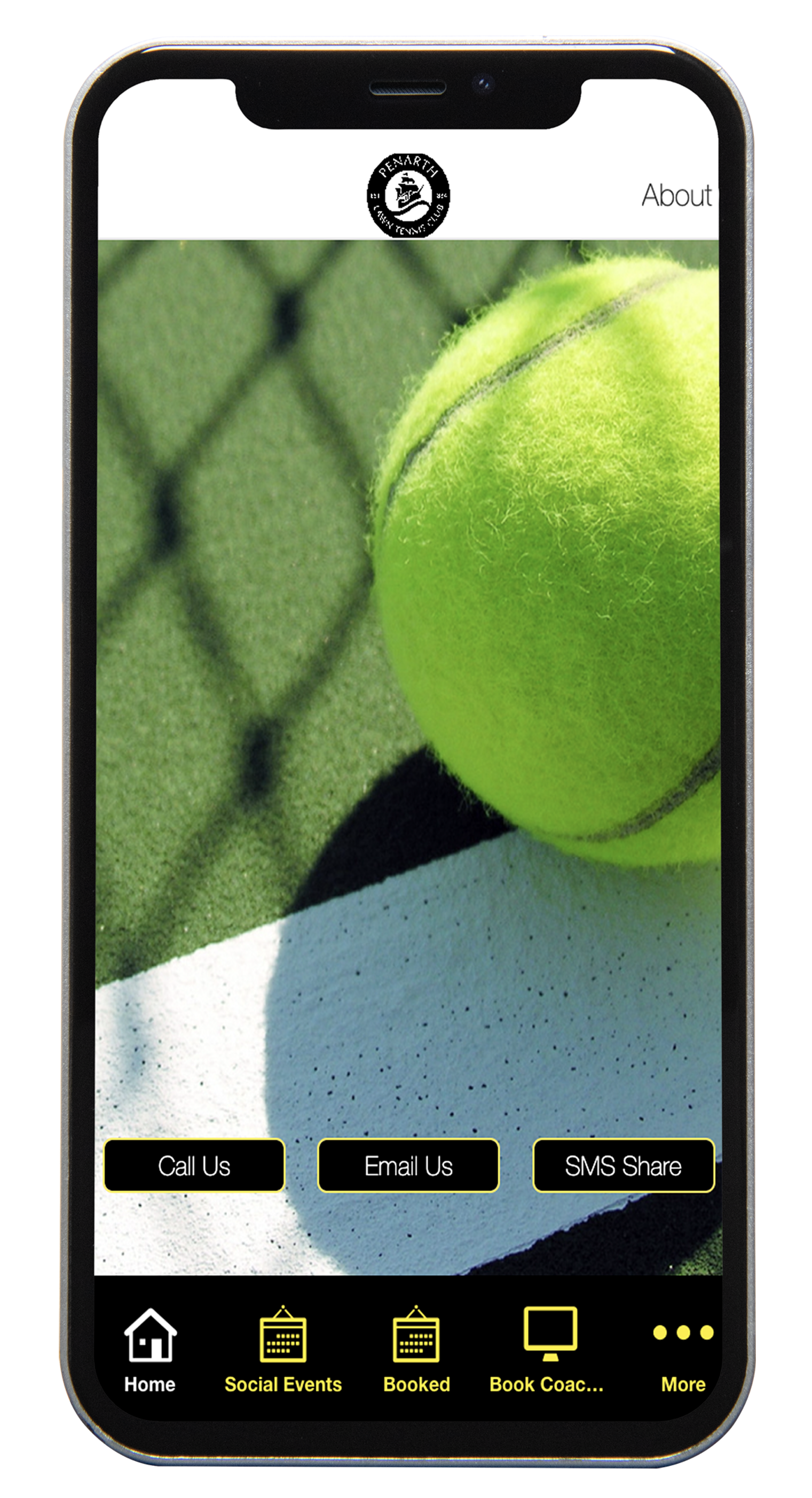 Smartphone screen with a tennis ball on a court and navigation buttons.