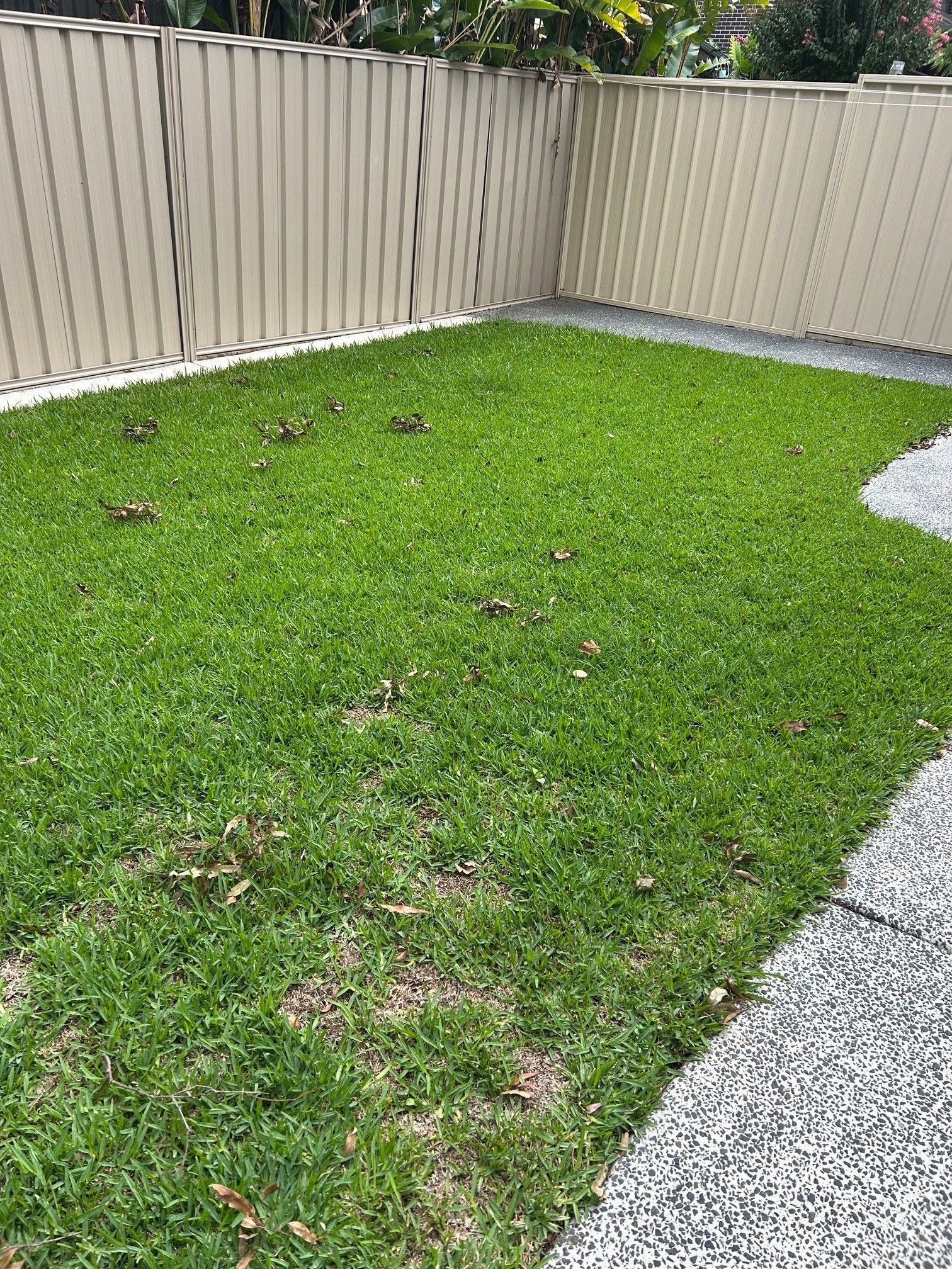Lawns
