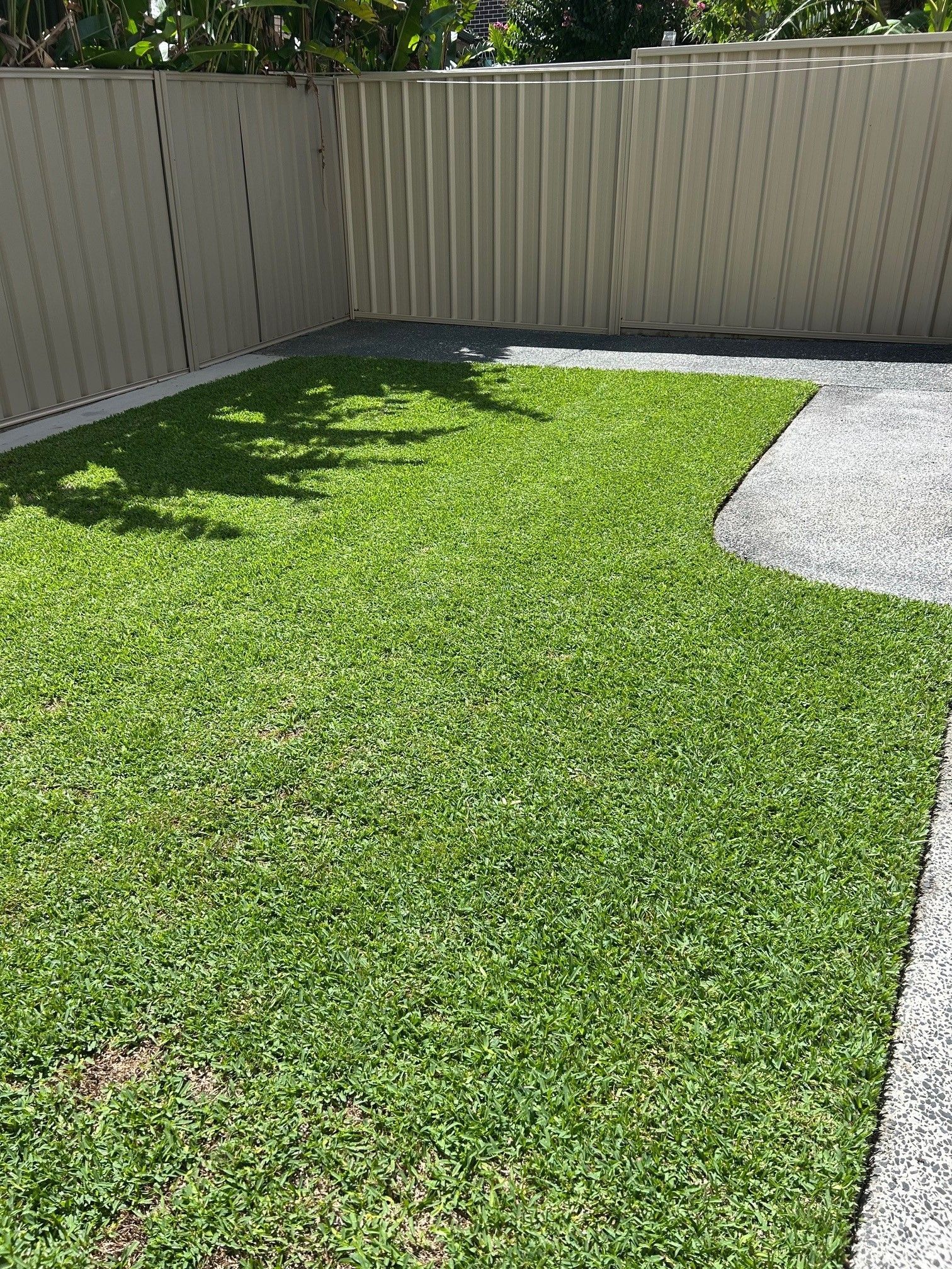 Lawns