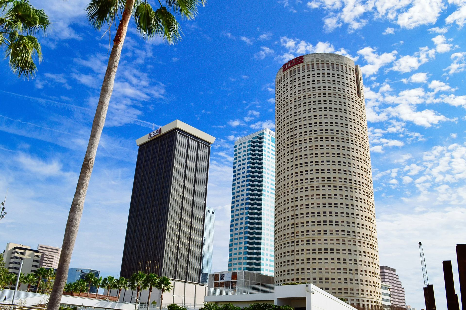 Downtown Tampa skyline with tall buildings under a blue sky, palm tree in the foreground.