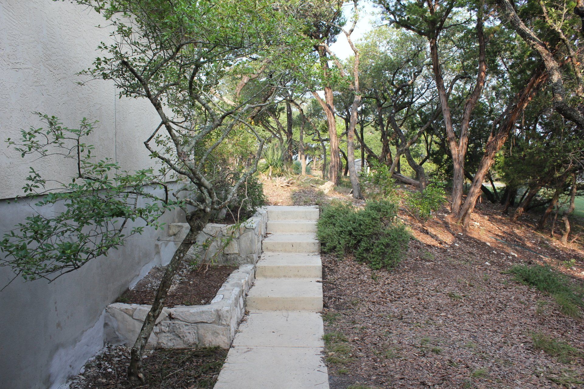 J&J Tree Care Professionals Tree Trimming Services