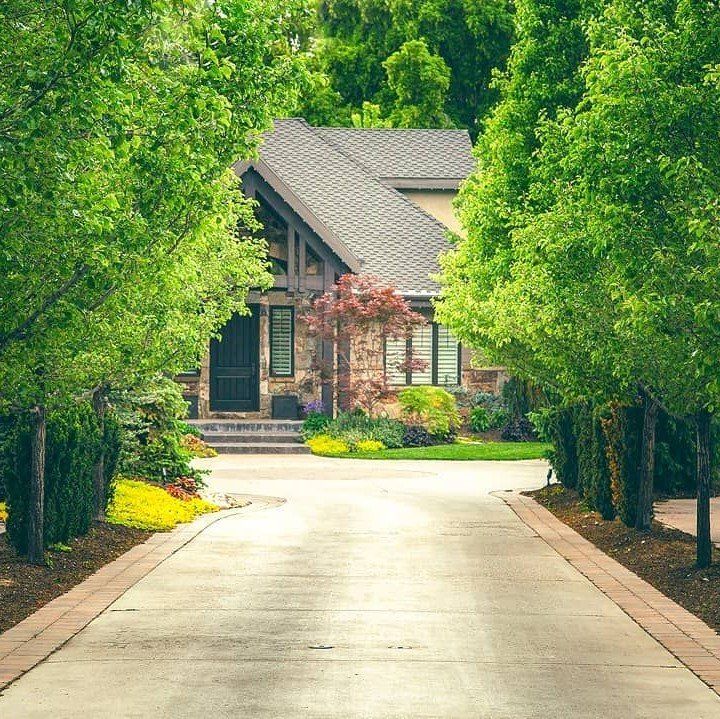 J&J Tree Care Professionals Tree Trimming Services